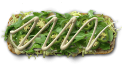 sandwitchimageview